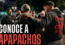 Apapachos: la fundación de Temuco que abraza corazones